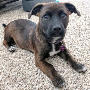 Meet your Posher, Filomena